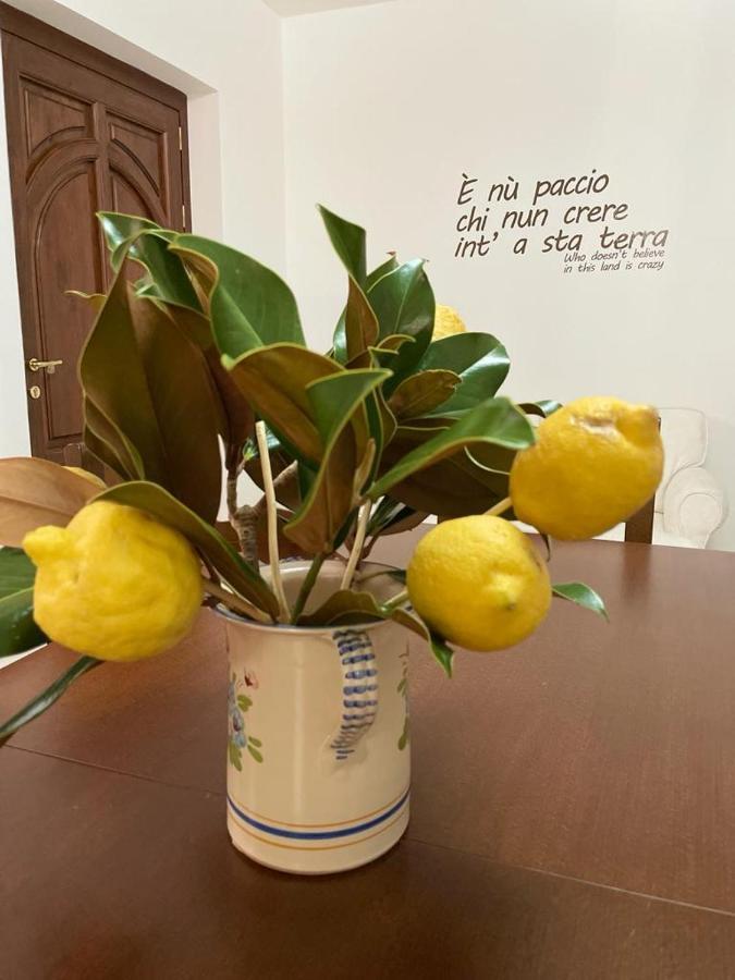 B&B Casa Letizia Trentinara Exteriér fotografie